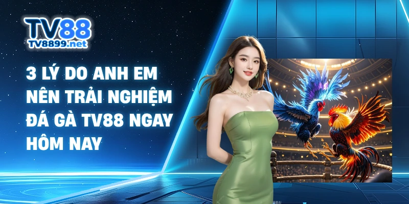 3 lý do anh em nên trải nghiệm đá gà TV88 ngay hôm nay 