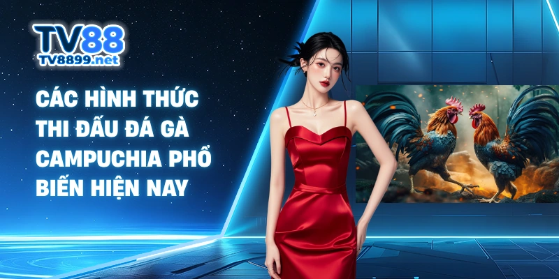 Các hình thức thi đấu đá gà Campuchia phổ biến hiện nay