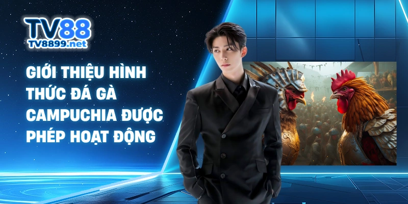 Giới thiệu hình thức đá gà Campuchia được phép hoạt động