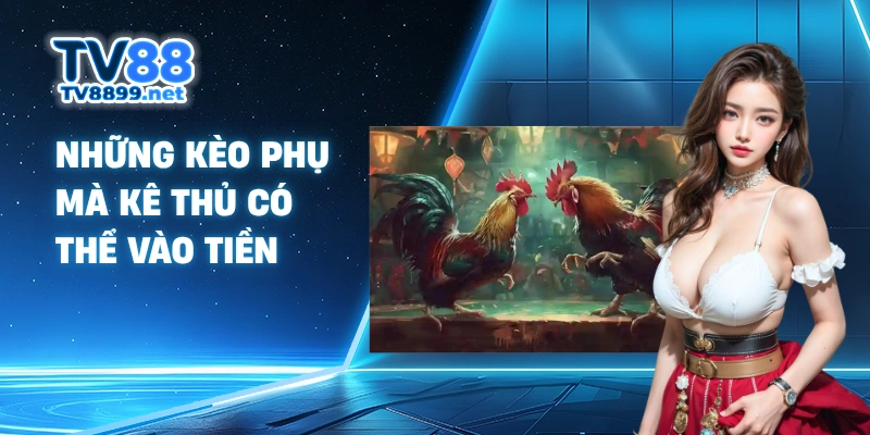 Những kèo phụ mà kê thủ có thể vào tiền