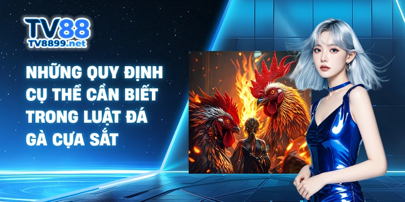 Những quy định cụ thể cần biết trong luật đá gà cựa sắt